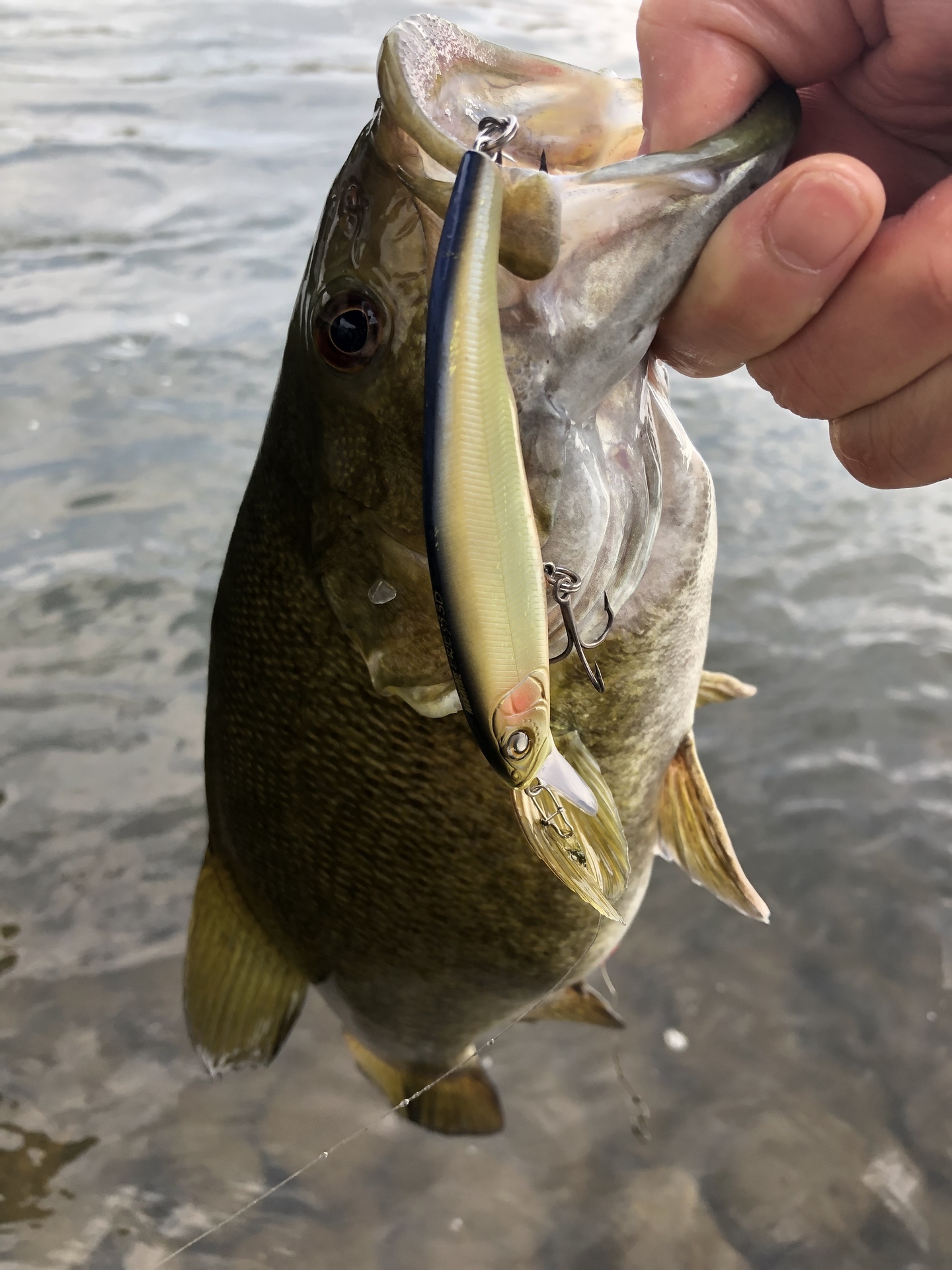 バス釣り三昧 スモールマウスバス攻略ブログ