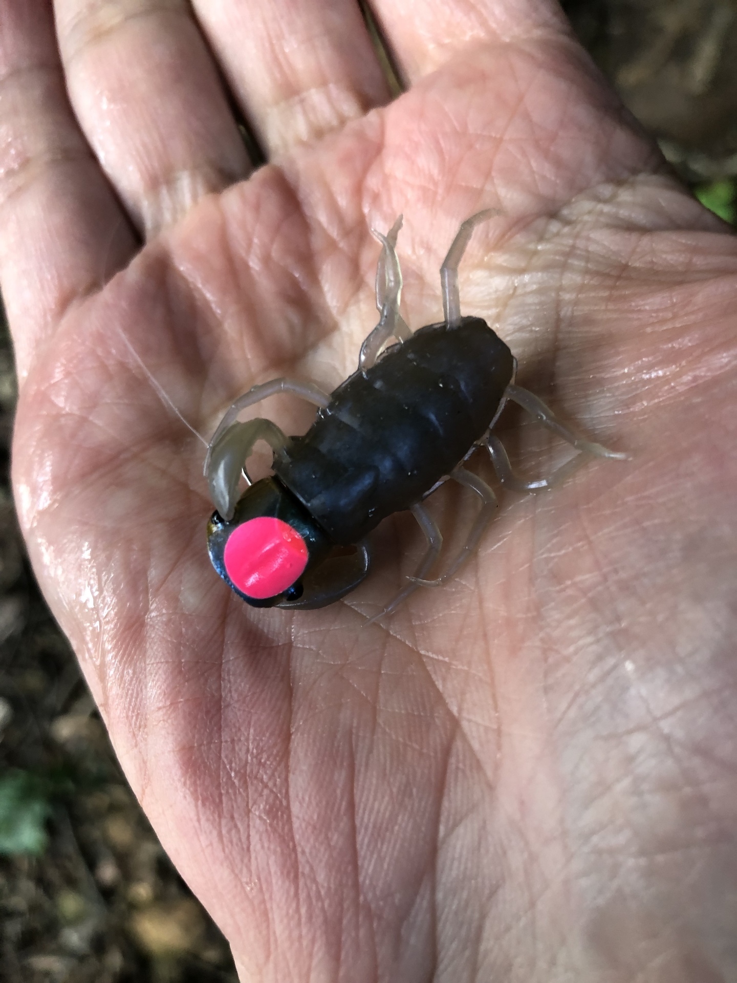 オリカネ虫でラージマウスバス バス釣り三昧 スモールマウスバス攻略ブログ