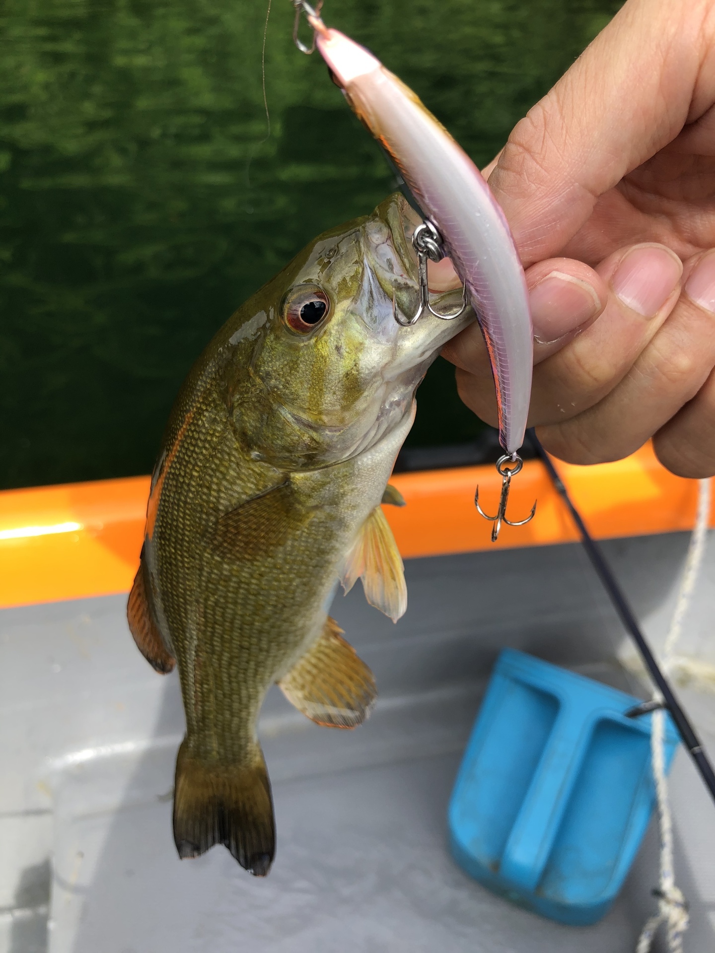 桧原湖ボートでバス釣り バス釣り三昧 スモールマウスバス攻略ブログ