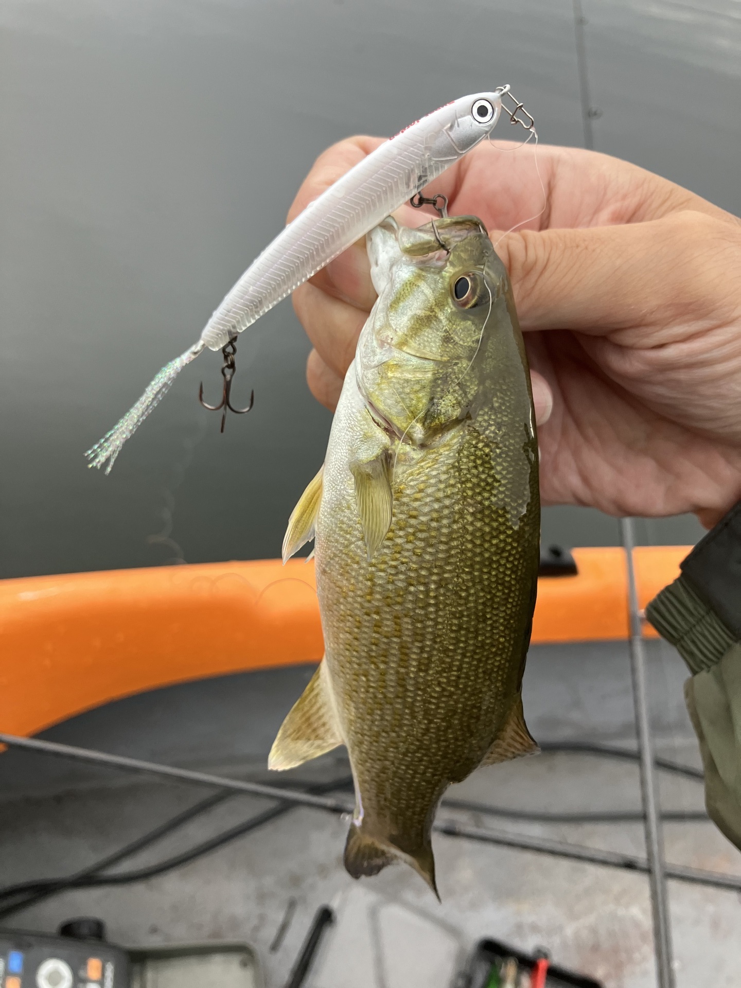 ジョーダン祭りか？桧原湖ボート釣行: バス釣り三昧〜スモールマウス